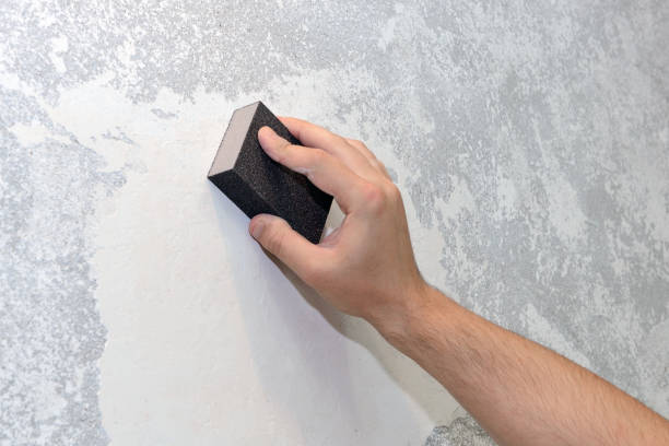Best Emergency Mold Remediation  in Kinsley, KS