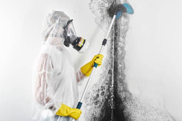 Best Dehumidification Services  in Kinsley, KS