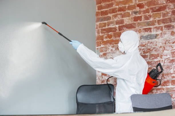 Best Environmental Consulting for Mold Prevention  in Kinsley, KS