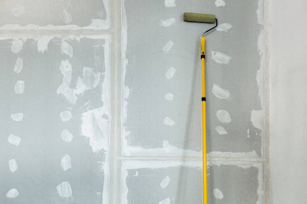 Best Industrial Mold Remediation  in Kinsley, KS
