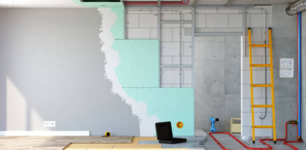 Best Black Mold Removal  in Kinsley, KS