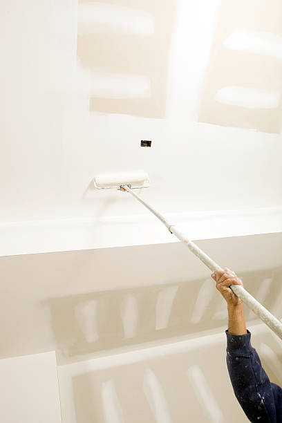 Mold Odor Removal Services in Kinsley, KS
