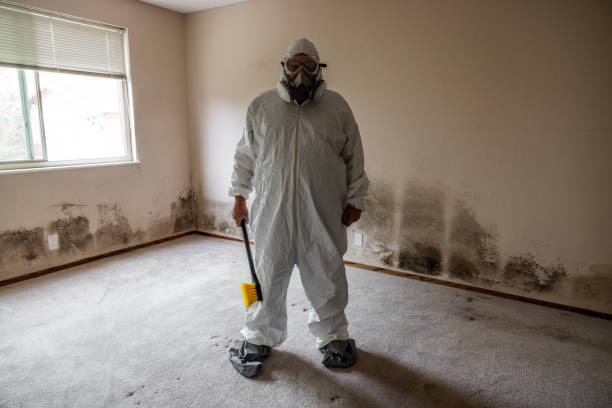 Best Mold Prevention Services  in Kinsley, KS