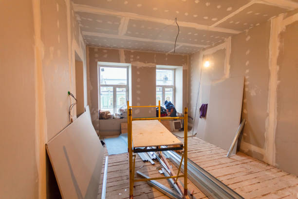 Trusted Kinsley, KS Mold Removal Experts